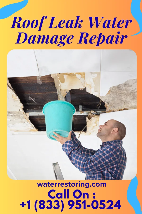 Roof Leak Water Damage Repair in Clinchport, VA