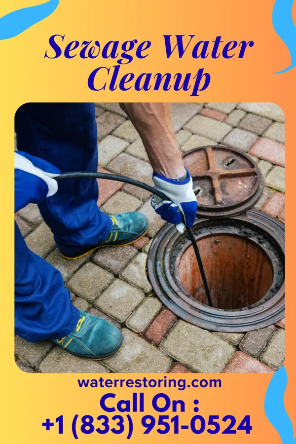 Sewage Water Cleanup in Clinchport, VA